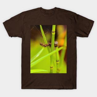 Green water bamboo stalk with seeds T-Shirt
